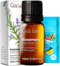 Gya Labs Rosemary Essential Oil 0.34 fl oz – 100% Pure for Hair, Skin, Diffuser & Candles