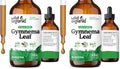 Wild & Organic Gymnema Sylvestre Extract Drops – Sugar-Free, Alcohol-Free, Vegan (2 x 4 oz)