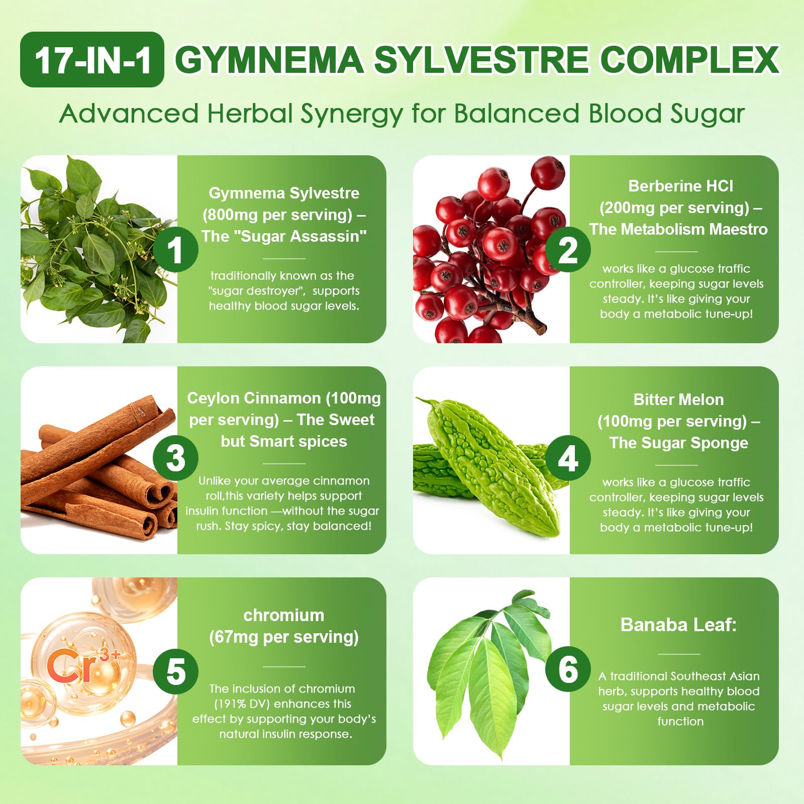 Gymnema Sylvestre 24,000 mg | 17-in-1 Herbal Complex with Berberine, Cinnamon & Chromium