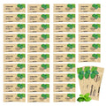 HAIFOTRVA 100 Pack Travel Size Toothpaste 0.105 oz Mint – Mini Disposables for Hotels & Guests