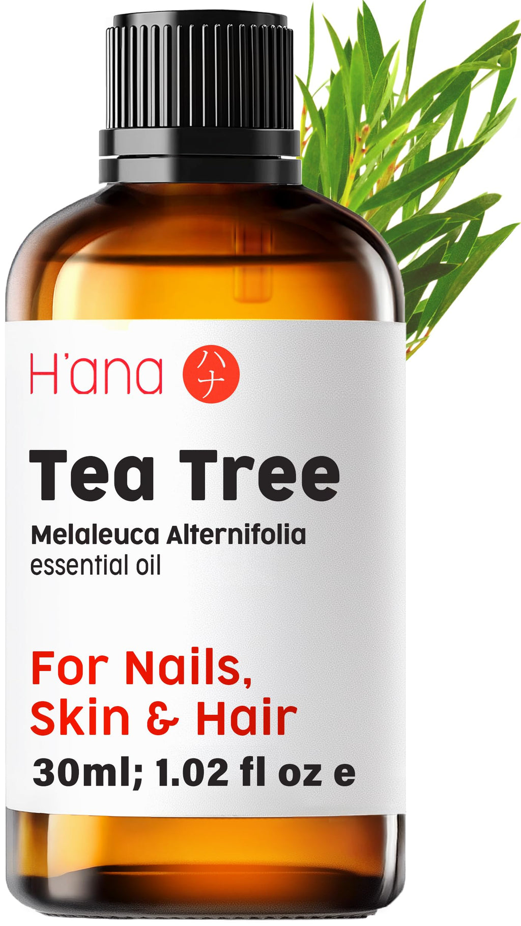 H'ana Tea Tree Essential Oil - 1.02 Fl Oz | Hair, Skin, Diffuser & DIY Crafts