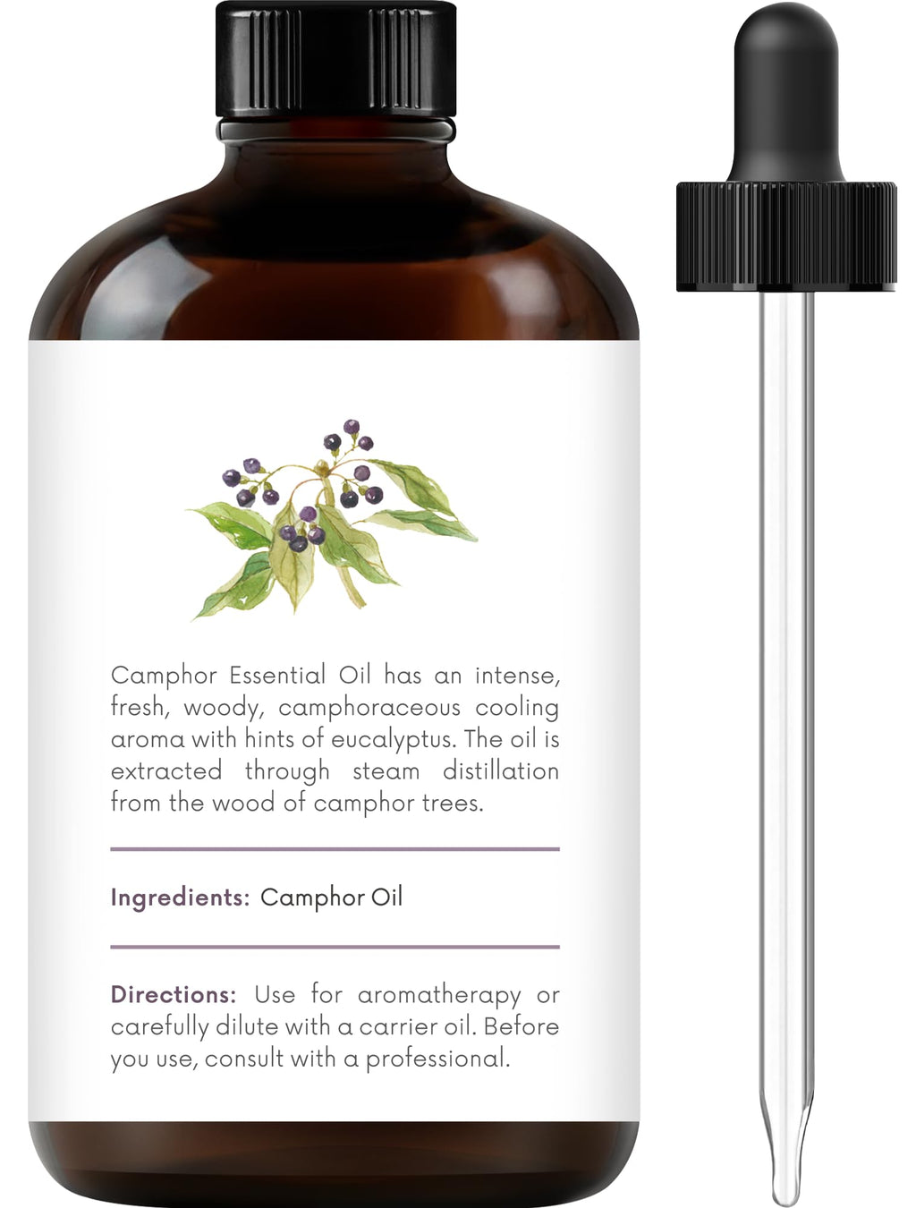 Handcraft Blends Camphor Essential Oil – 4 oz, 100% Pure & Natural