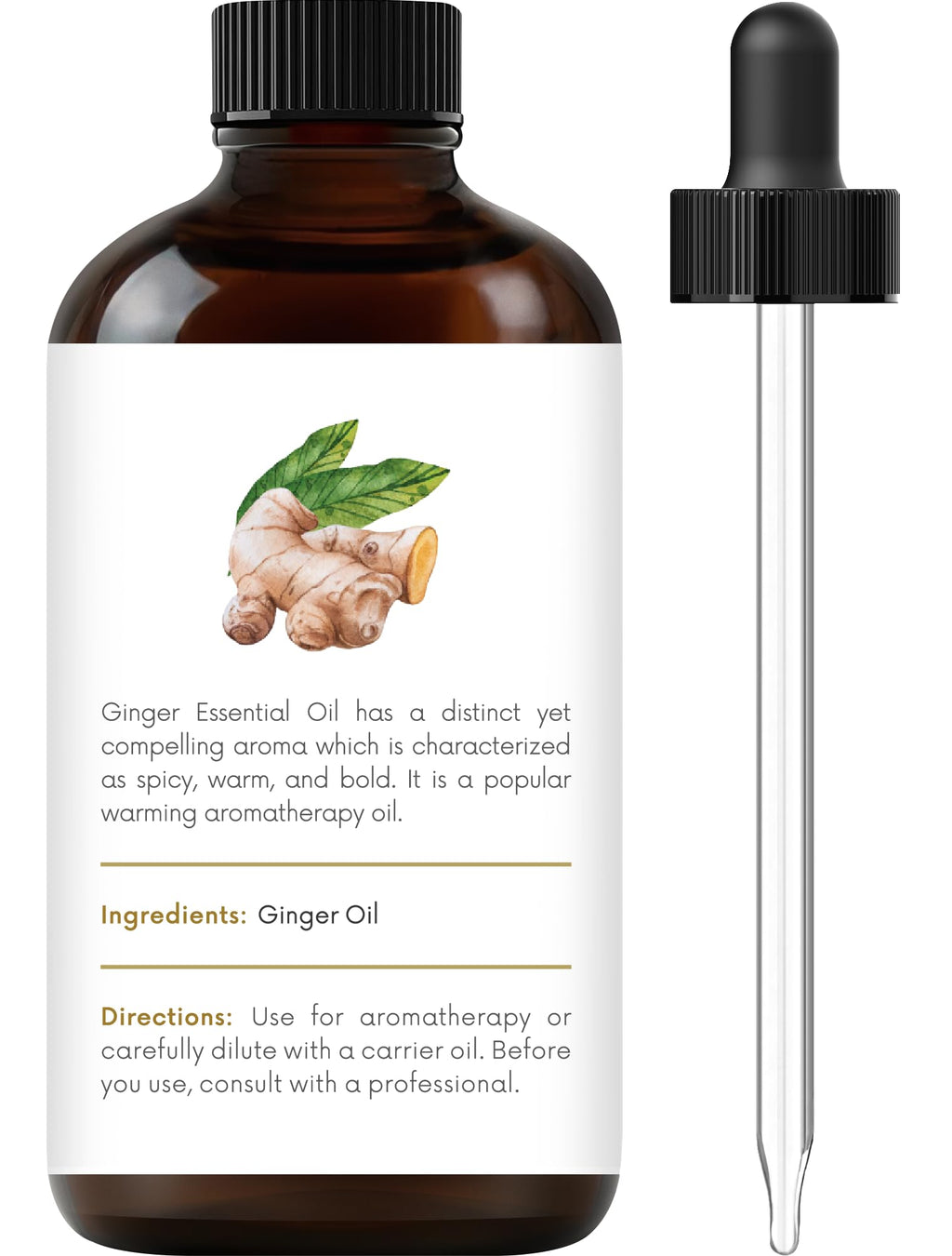 Handcraft Blends Ginger Essential Oil – 1 Fl Oz – 100% Pure and Natural – Premium Grade Essential Oil for Diffuser and Aromatherapy, Skin, Massage, Candle and Soap Making Fragrance