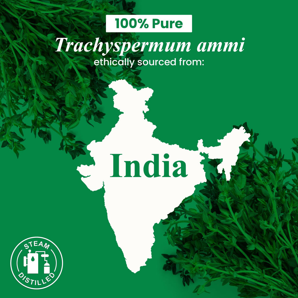 Thyme Essential Oil 4 oz – 100% Pure & Natural | Handcraft Blends