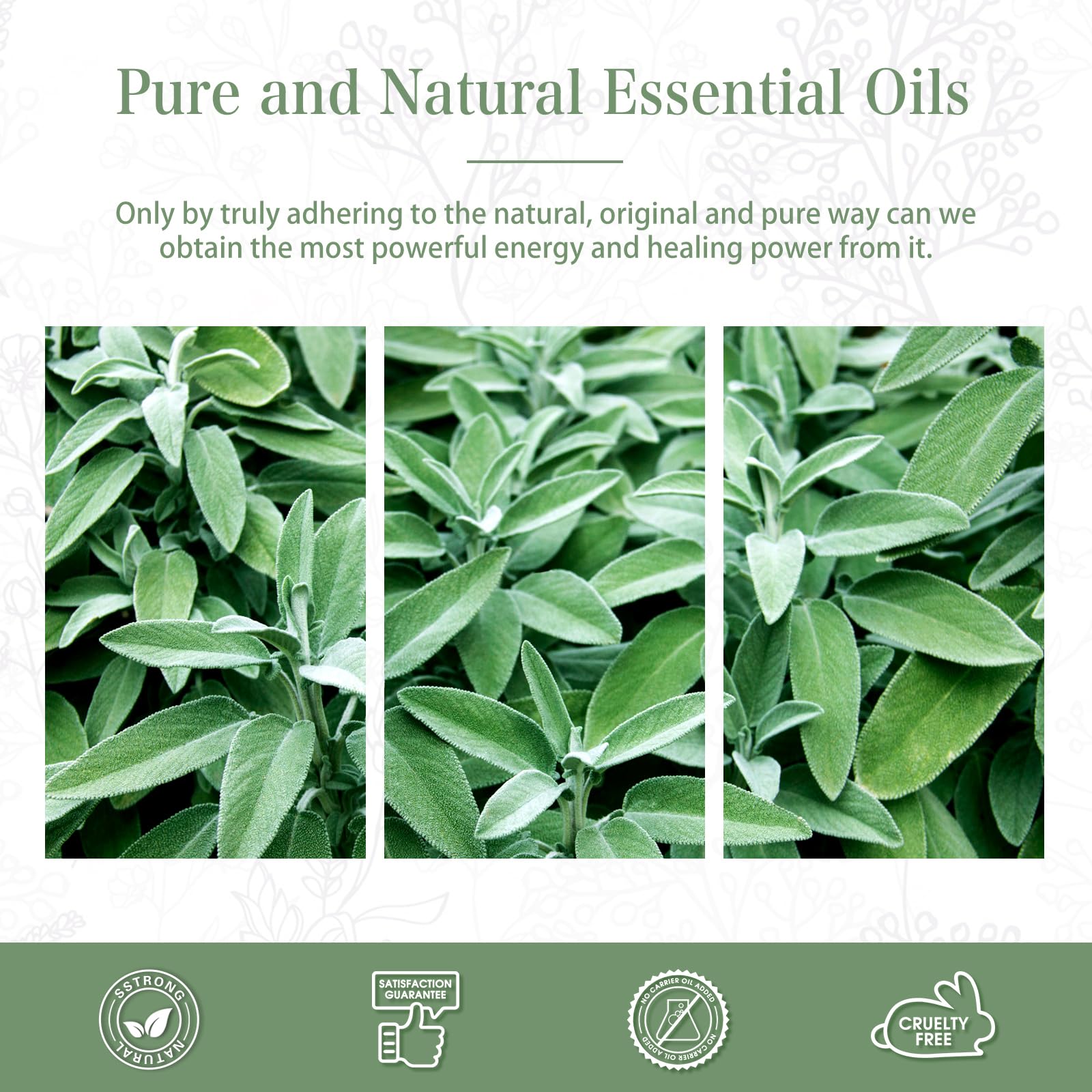Clary Sage Essential Oil 30ml | PHATOIL Pure Essential Oil for Diffusers, Candles & Soaps
