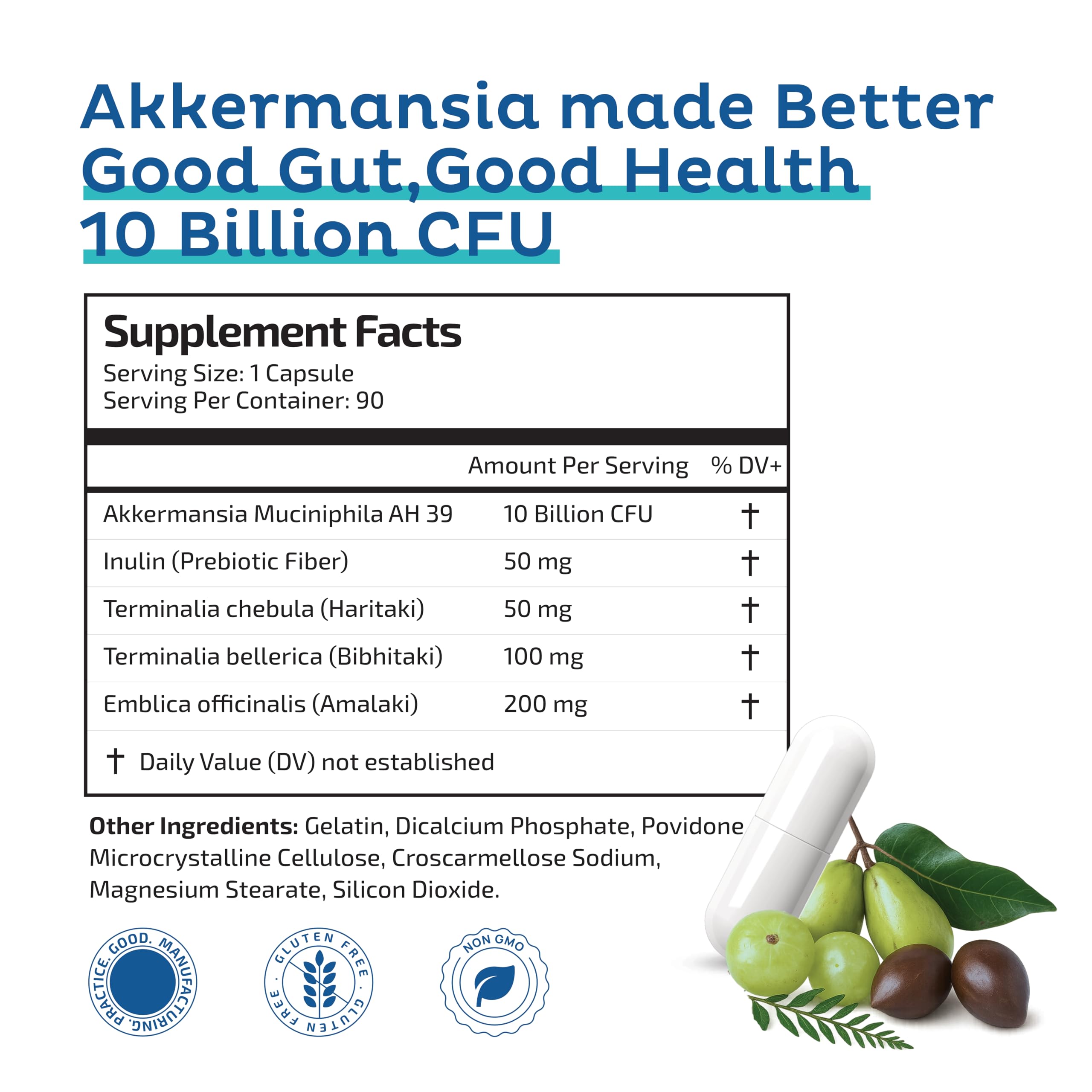 Akkermansia Muciniphila Probiotic + Triphala – 10B CFU | 3 Month Supply