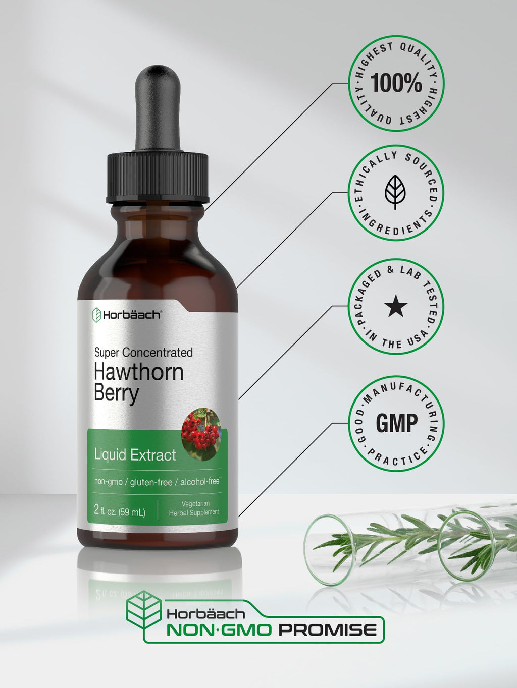 Horbäach Hawthorn Berry Extract | 2 fl oz Alcohol-Free Tincture | Vegetarian, Non-GMO, Gluten Free