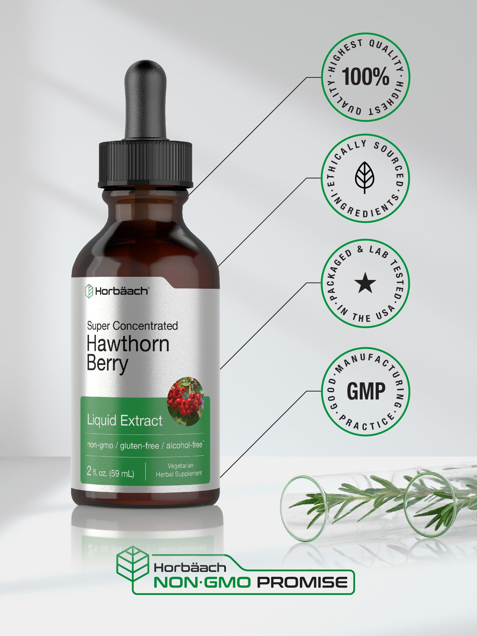 Horbäach Hawthorn Berry Extract | 2 fl oz Alcohol-Free Tincture | Vegetarian, Non-GMO, Gluten Free