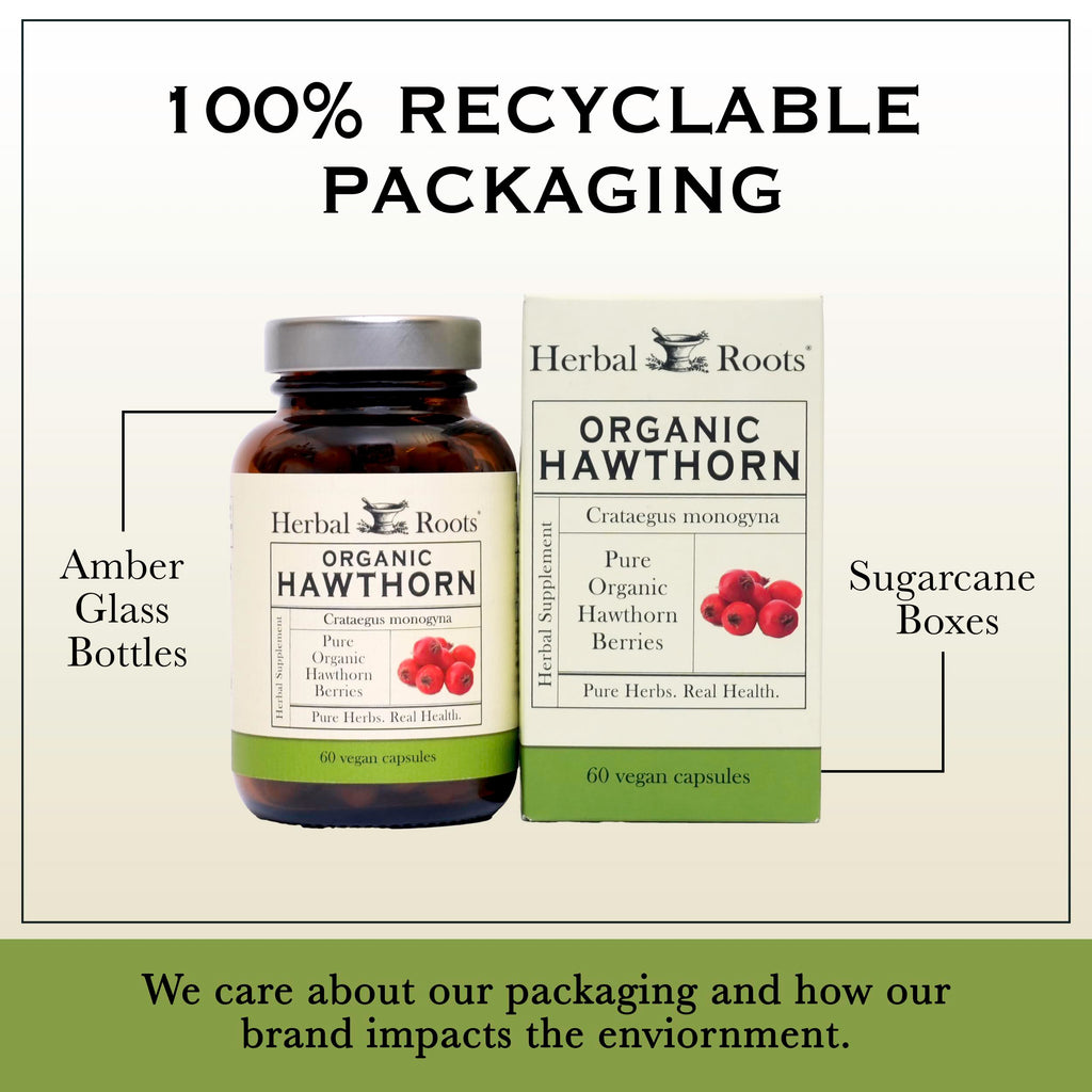Herbal Roots Organic Hawthorn Berry Capsules – Extra Strength 1,200mg per Serving | 60 Vegan Capsules