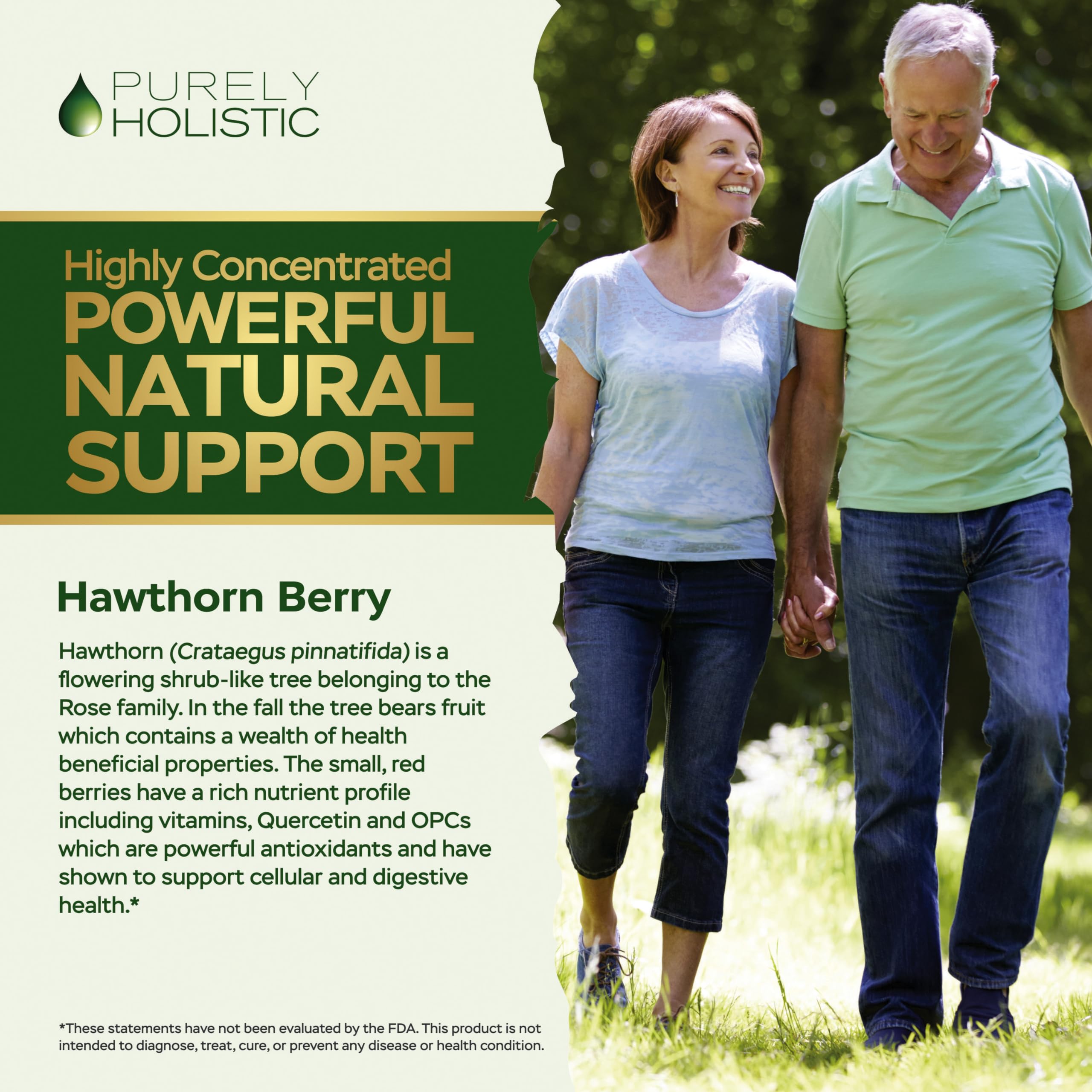 Purely Holistic Hawthorn Berry - 150 Vegan Capsules | 5 Month Supply | High Strength 4:1 Extract | Non-GMO