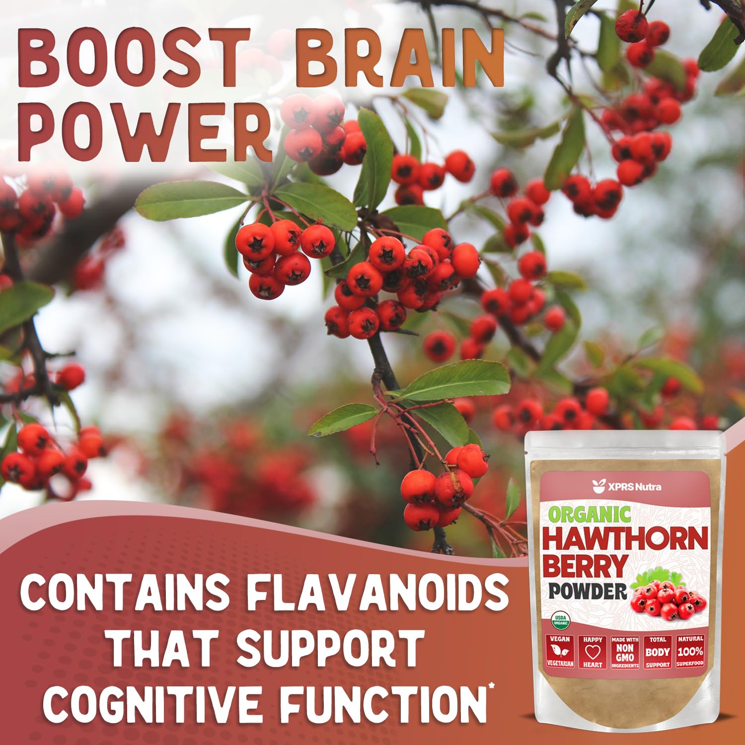 XPRS Nutra Organic Hawthorn Berry Powder – Premium USDA Organic Hawthorn for Cardiovascular Support – Vegan (16 oz)