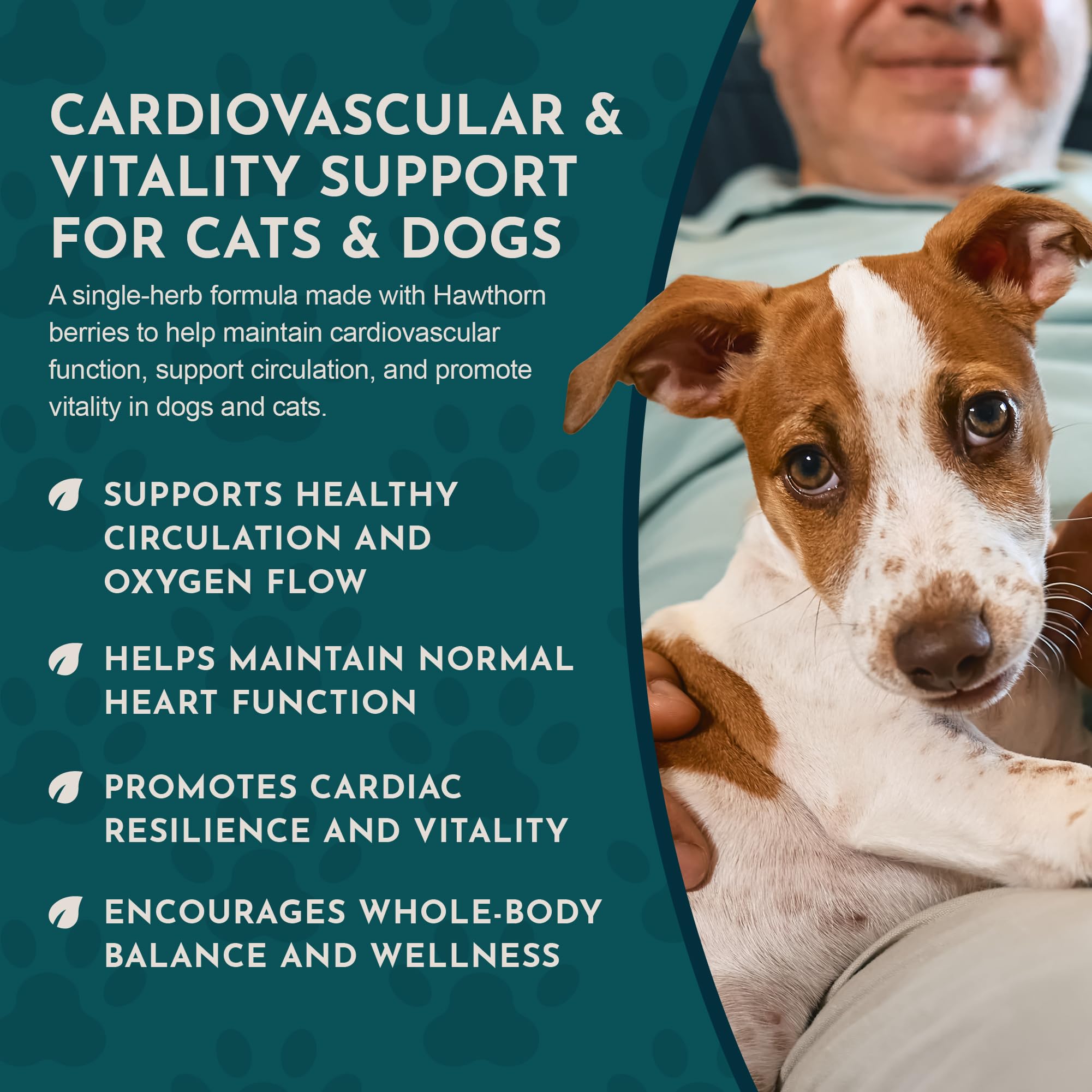 Animal Essentials Hawthorn Berry Supplement for Dogs & Cats – Heart Health Support