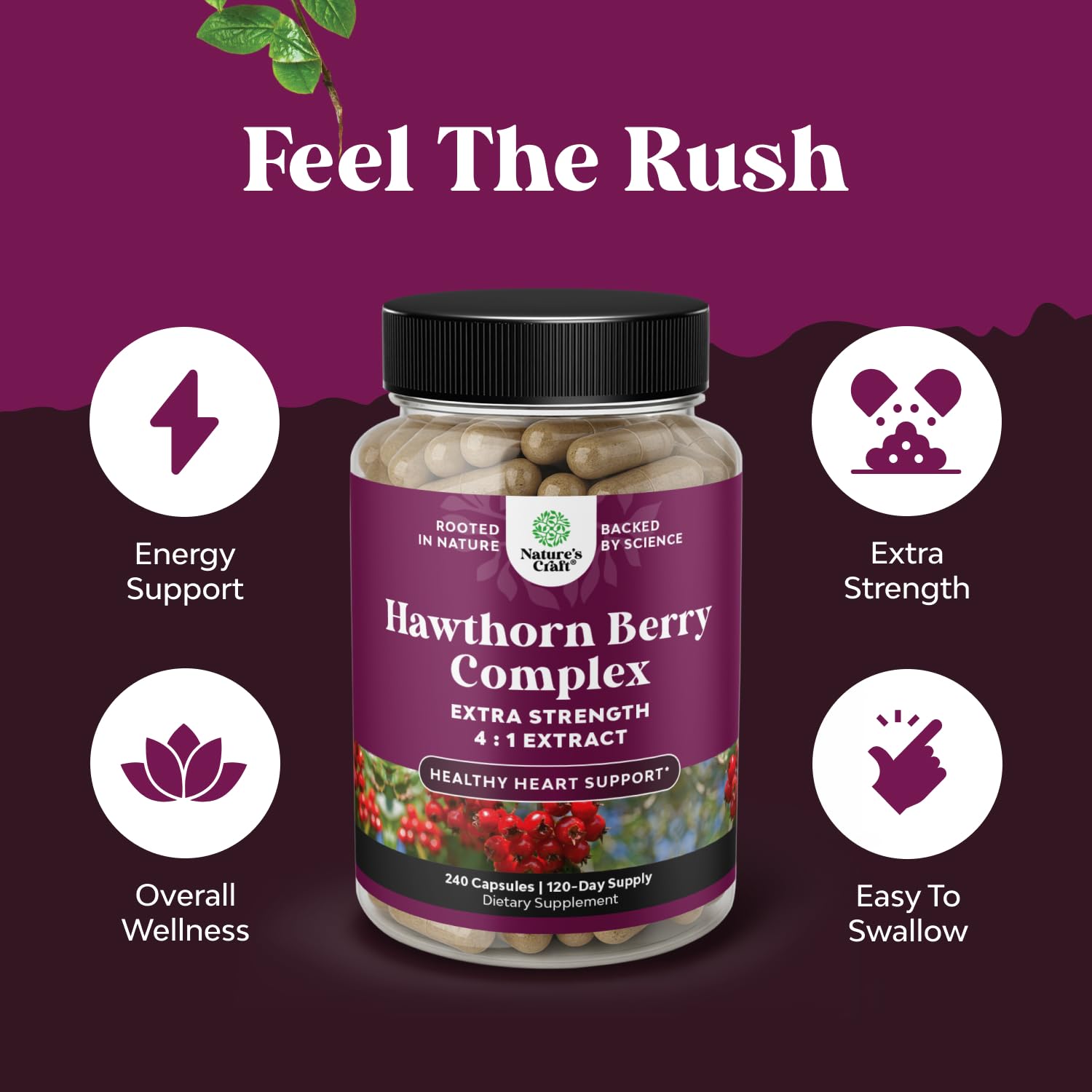 High Strength Hawthorn Berry Capsules 4-1 – Heart Health & Digestion (240 Count)