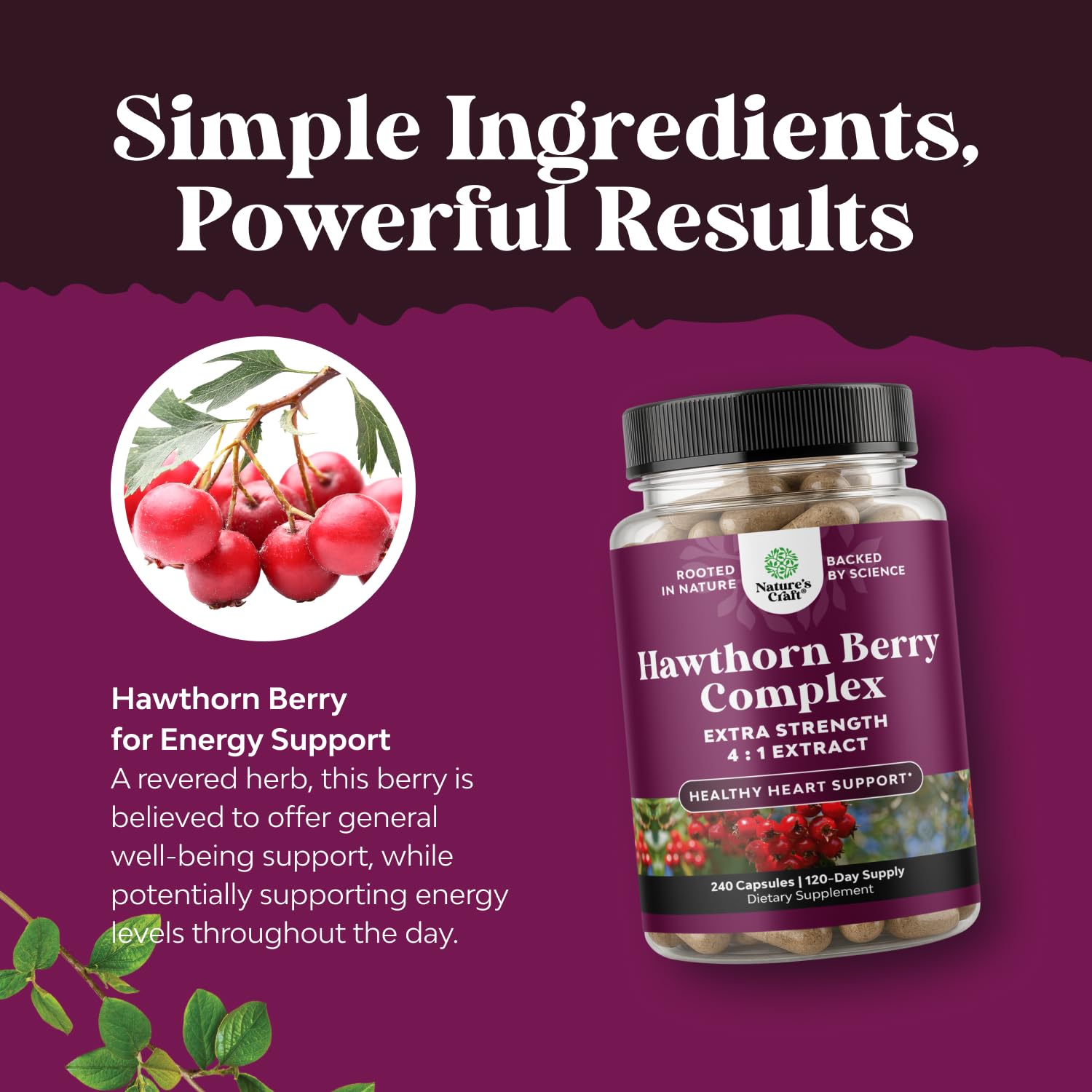 High Strength Hawthorn Berry Capsules 4-1 – Heart Health & Digestion (240 Count)