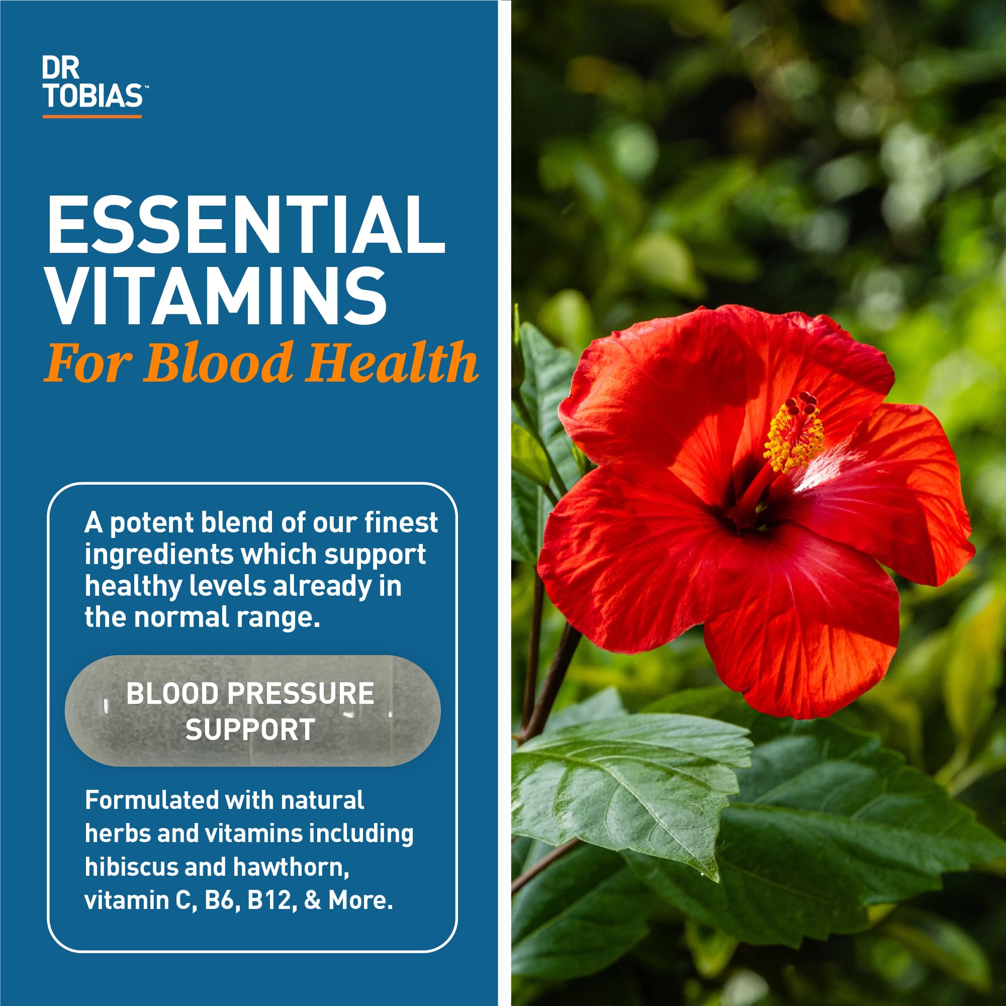 Dr. Tobias Blood Pressure Support Supplement – Hawthorn, Hibiscus, Olive Leaf & Garlic | 90 Capsules
