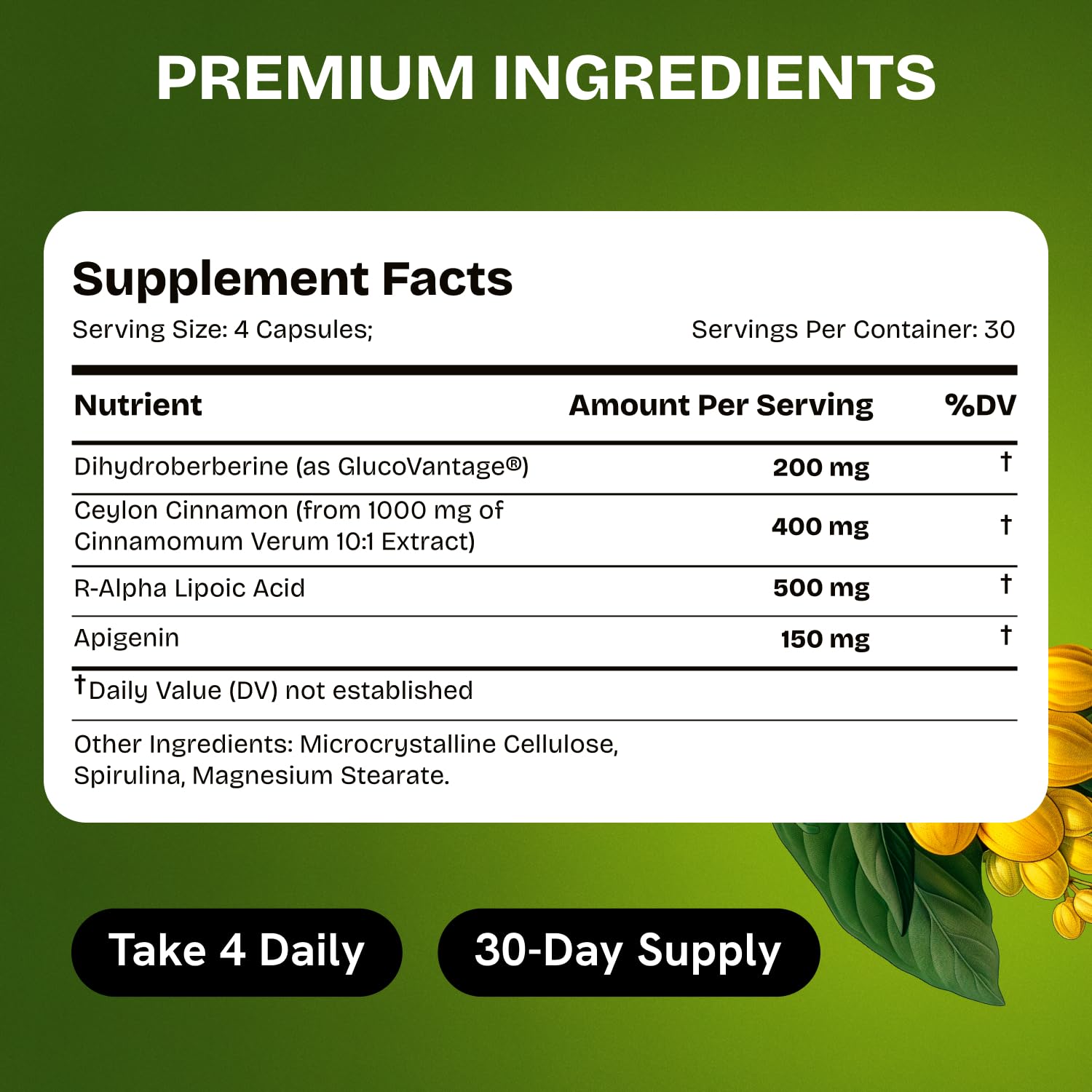 HealMeal Dihydroberberine Supplement - Enhanced Absorption Berberine with Cinnamon & R Alpha Lipoic Acid - 240 Caps (2 Packs)
