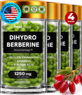 HealMeal Dihydroberberine Supplement - Enhanced Absorption with Cinnamon & R Alpha Lipoic Acid - 480 Caps (4 Packs)