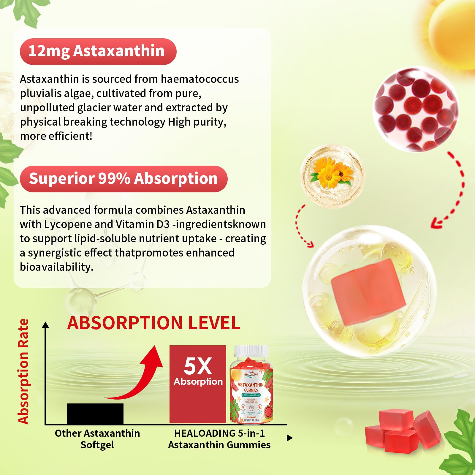 HEALOADING Astaxanthin 12mg Gummies – Eye, Skin, Joint & Immune Support (60 Gummies)