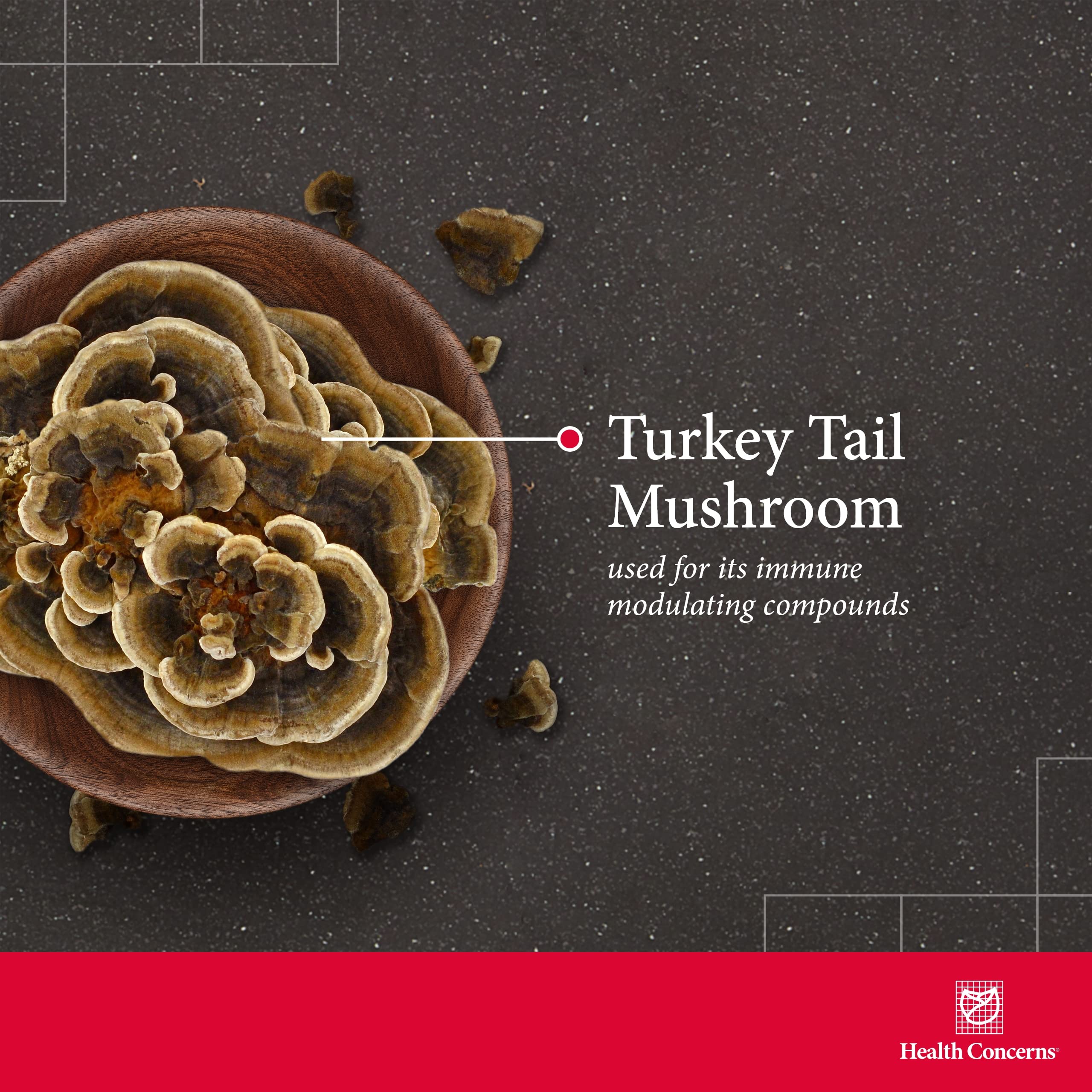 Health Concerns Coriolus PS – Turkey Tail Mushroom for Immune & Gut Health | 1500mg, 90 Capsules