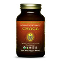 HealthForce SuperFoods Integrity Extracts Chaga Powder – 70 g | Organic, Vegan, Kosher, Gluten-Free