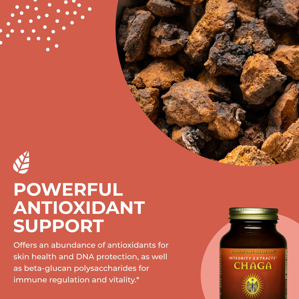 HealthForce SuperFoods Integrity Extracts Chaga Powder – 70 g | Organic, Vegan, Kosher, Gluten-Free
