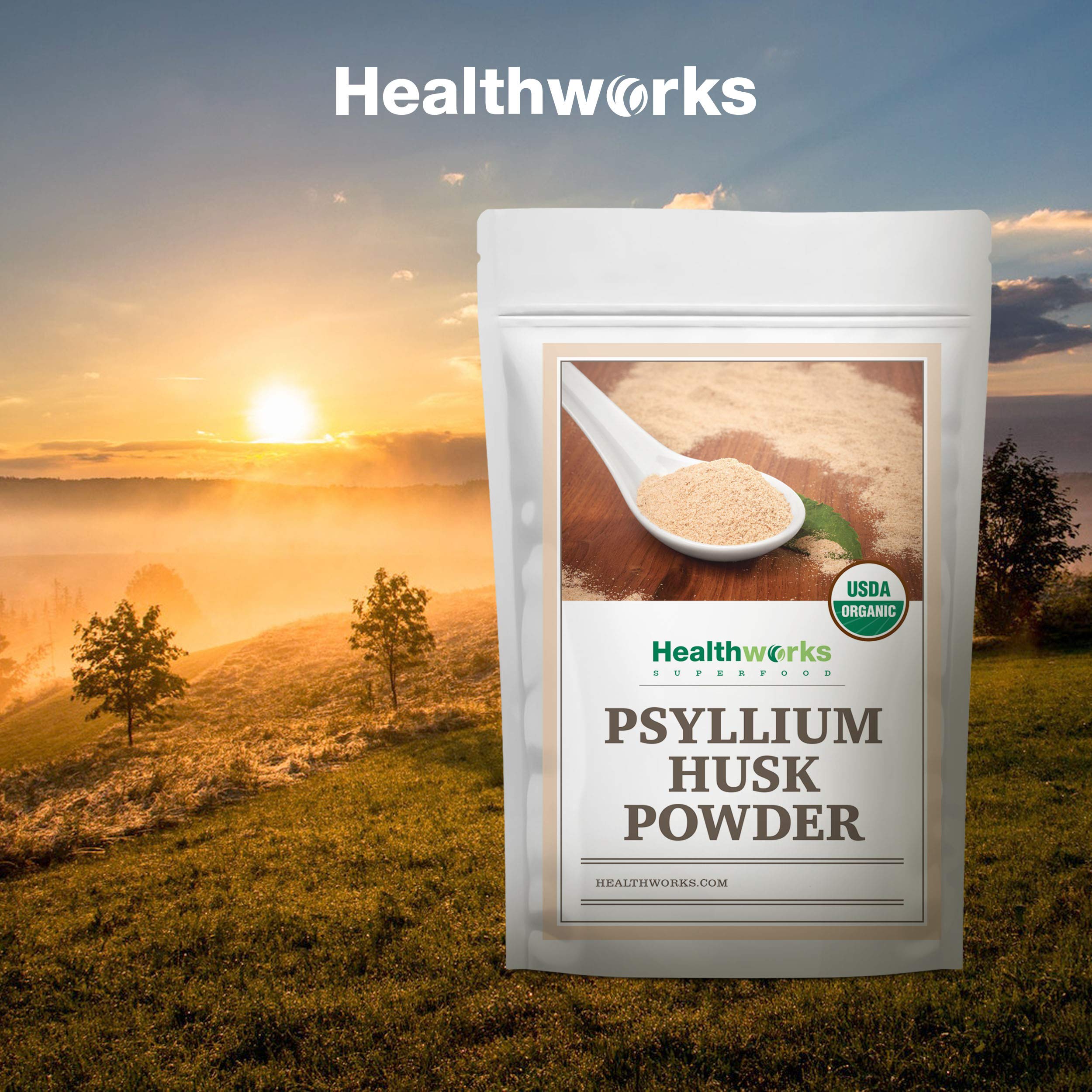 Healthworks Psyllium Husk Powder Organic - 32 Oz / 2 Lbs - Raw - Certified Organic - Finely Ground Powder from India - Keto, Vegan & Non-GMO - Fiber Support