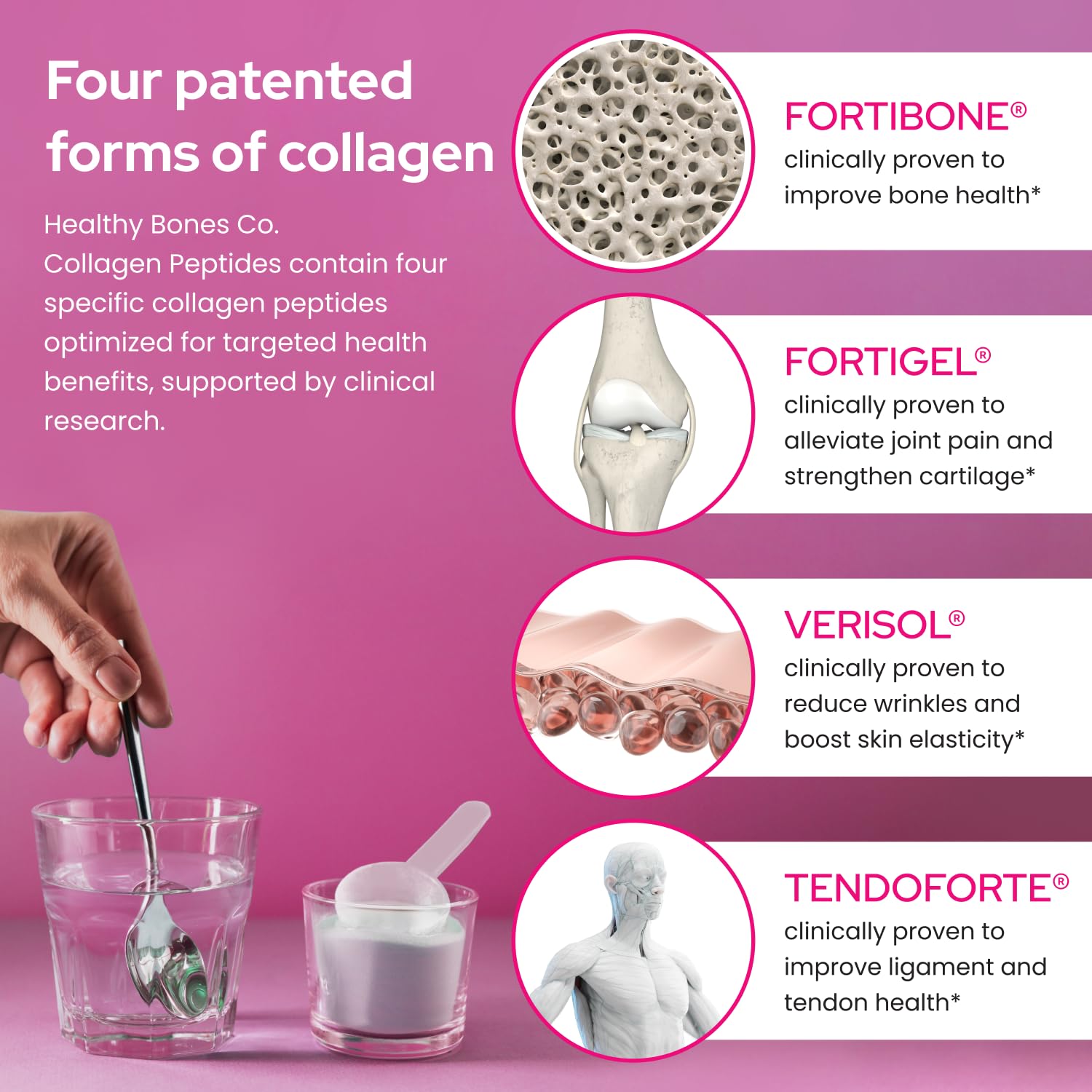 Healthy Bones Co. FORTIBONE Premium Bone Health Collagen Peptides with FORTIGEL, VERISOL & TENDOFORTE | 30 Servings