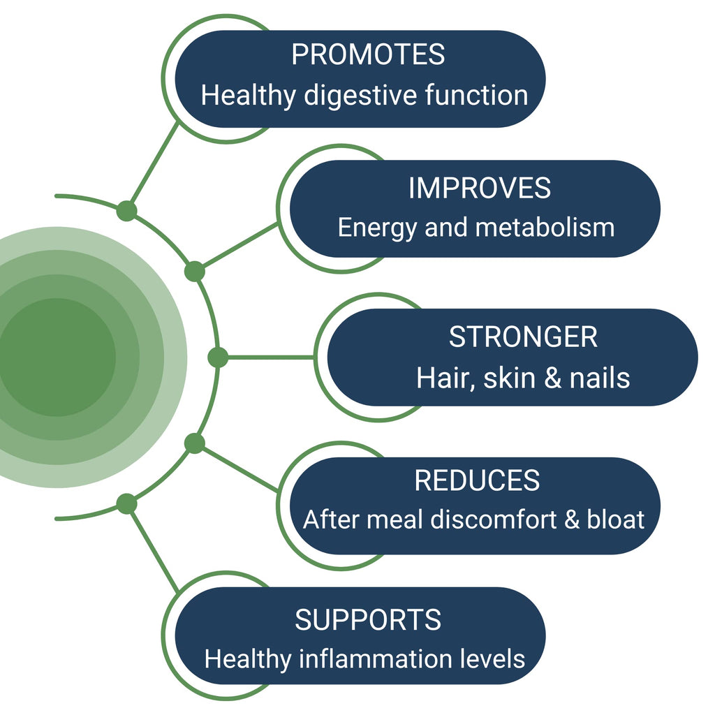 Healthy Gut HCL Guard+ | Supports Digestive Function with Betaine HCl, Ginger, DGL, Pepsin | 60 Servings