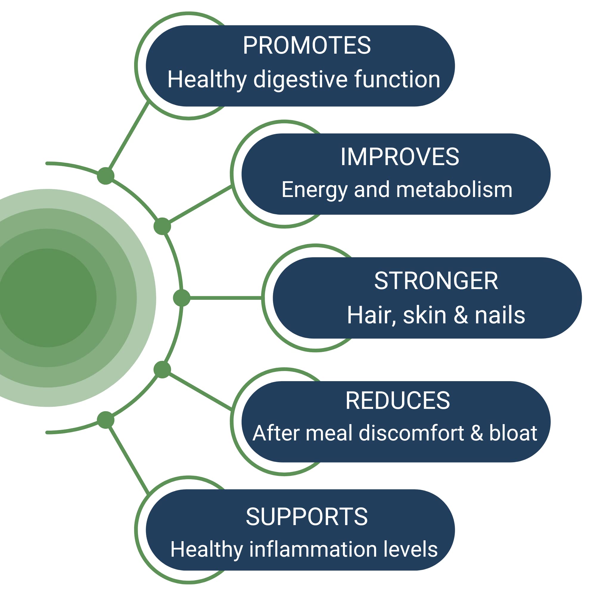 Healthy Gut HCL Guard+ | Supports Digestive Function with Betaine HCl, Ginger, DGL, Pepsin | 60 Servings