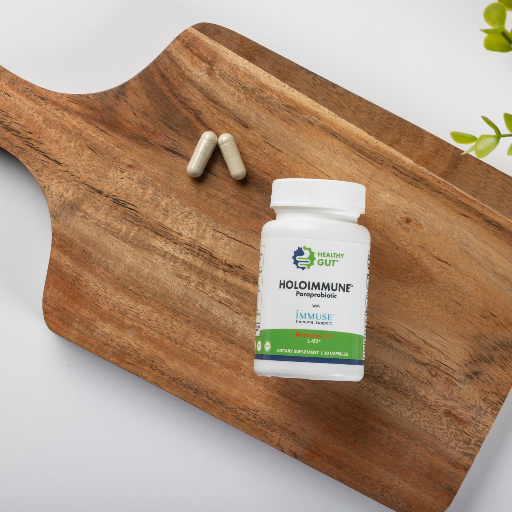 Healthy Gut HoloImmune | Paraprobiotic with Immuse Immune Support | 30 Servings