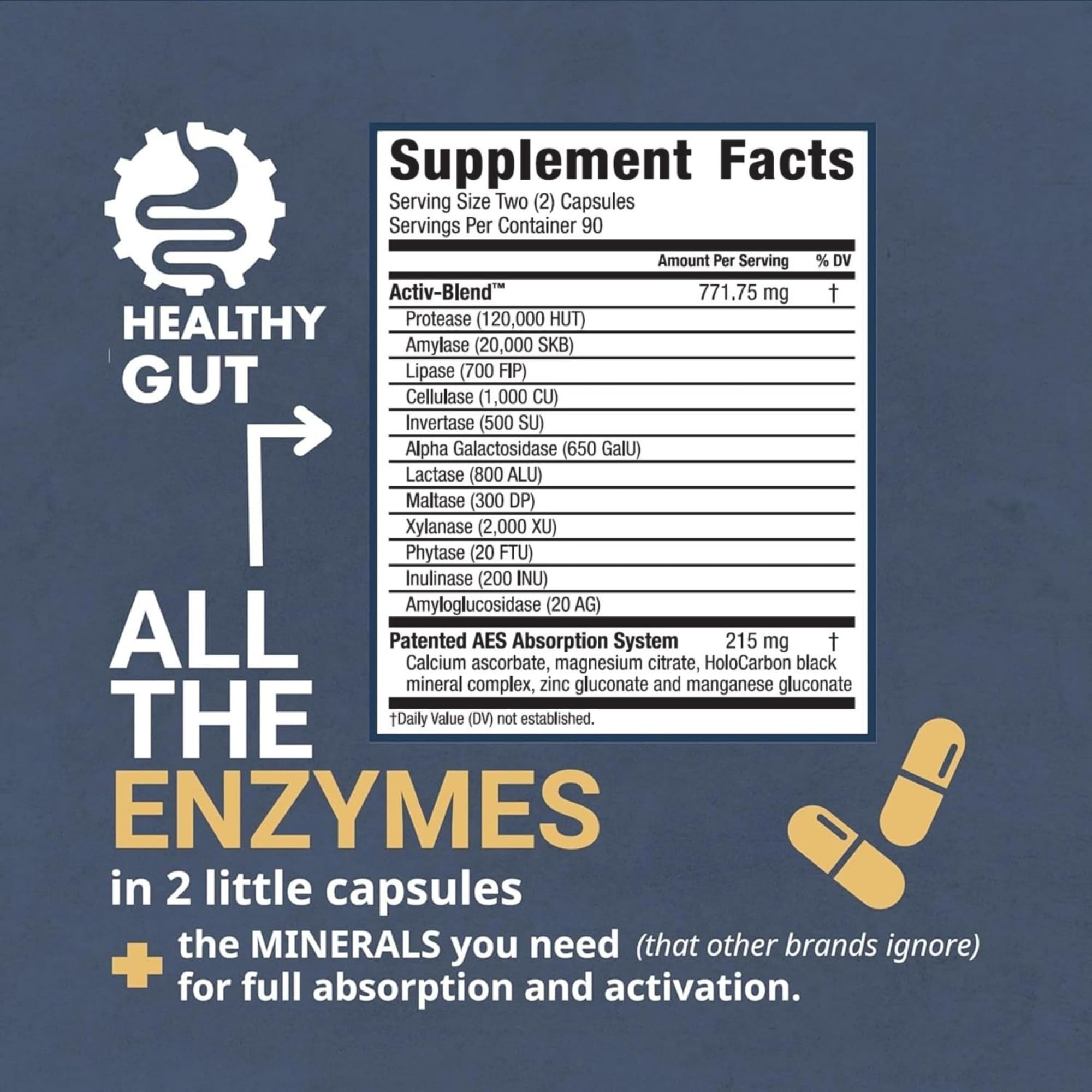 Healthy Gut HoloZyme Max Strength Digestive Enzymes | FODMAP Support with Inulinase, Amyloglucosidase & Invertase | 90 Servings
