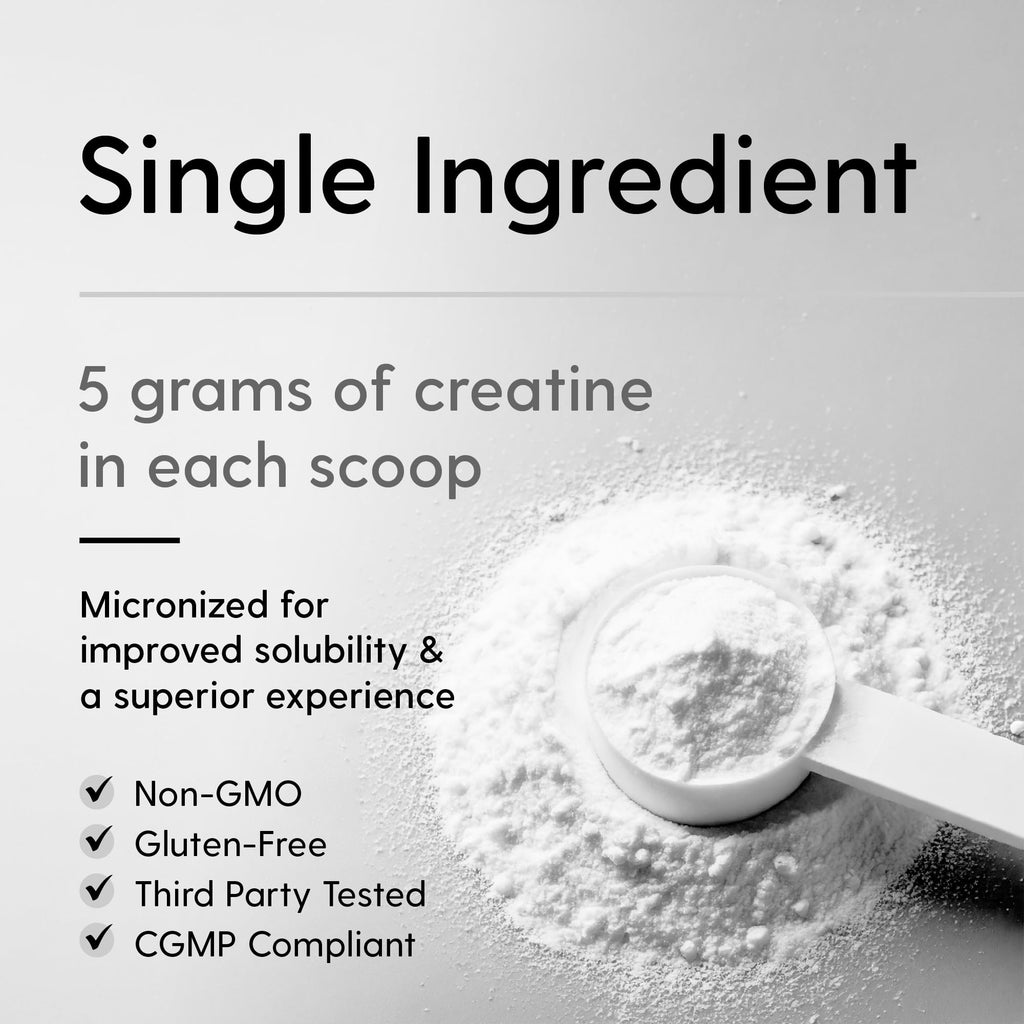 Hearthy Foods Creatine Monohydrate Micronized Powder 500g | 100 Servings, Unflavored