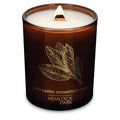 Hemlock Park Amber & Gold Wood Wick Candle – 7.2 oz | Palo Santo Mountain Sage