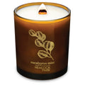 Hemlock Park Amber & Gold Wood Wick Candle – 14 oz Coconut Wax, Eucalyptus Mint