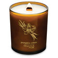Hemlock Park Amber & Gold Wood Wick Candle – 14 oz Pumpkin Crème