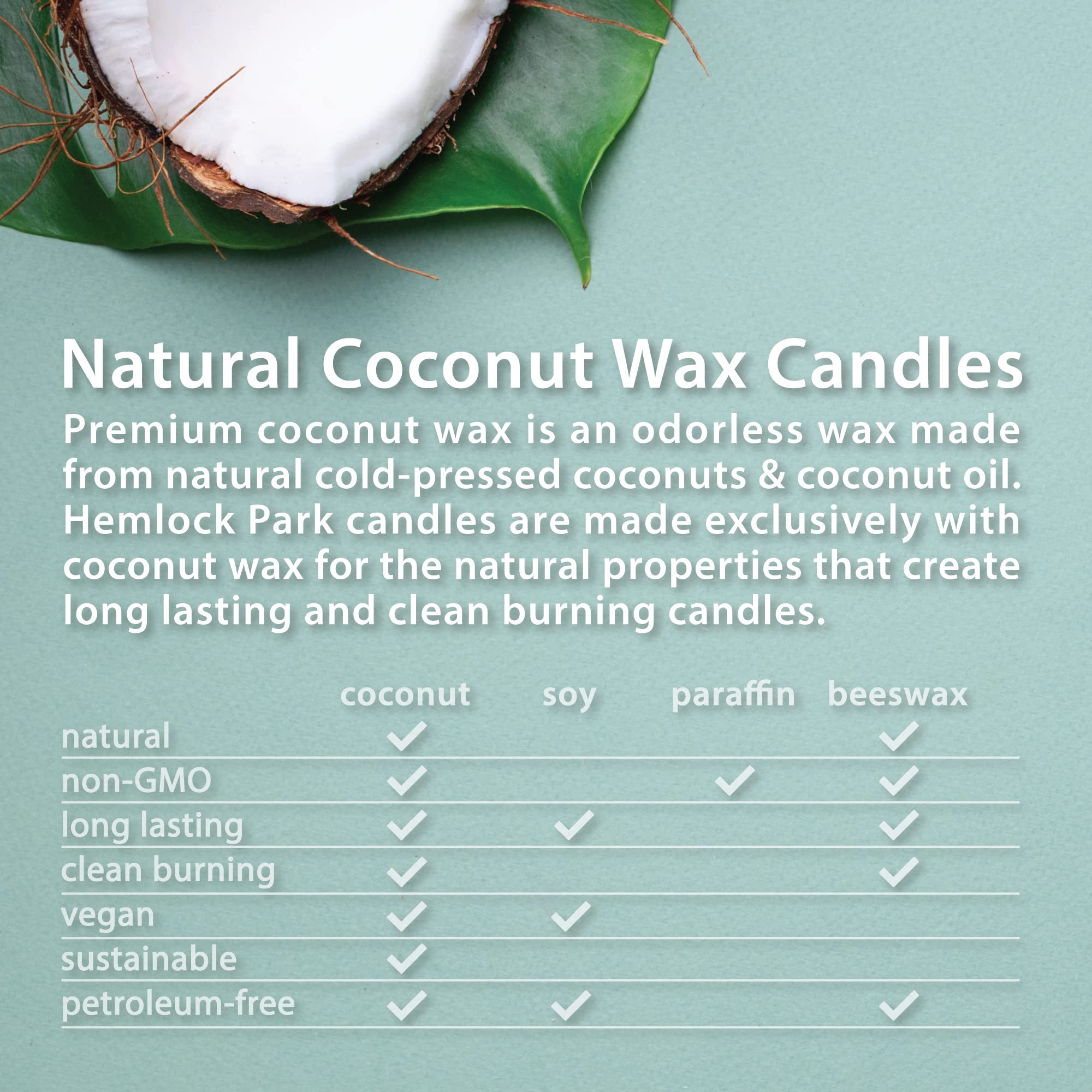 Hemlock Park Crackling Wood Wick Candle | 16 oz | Mission Fig | Natural Coconut Wax