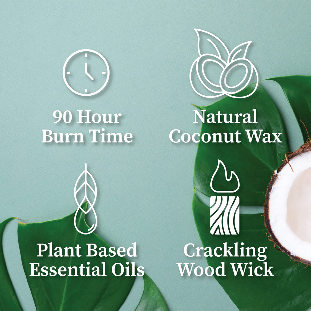 Hemlock Park Crackling Wood Wick Candle – Handcrafted Coconut Wax (16 oz, Blue Sage)