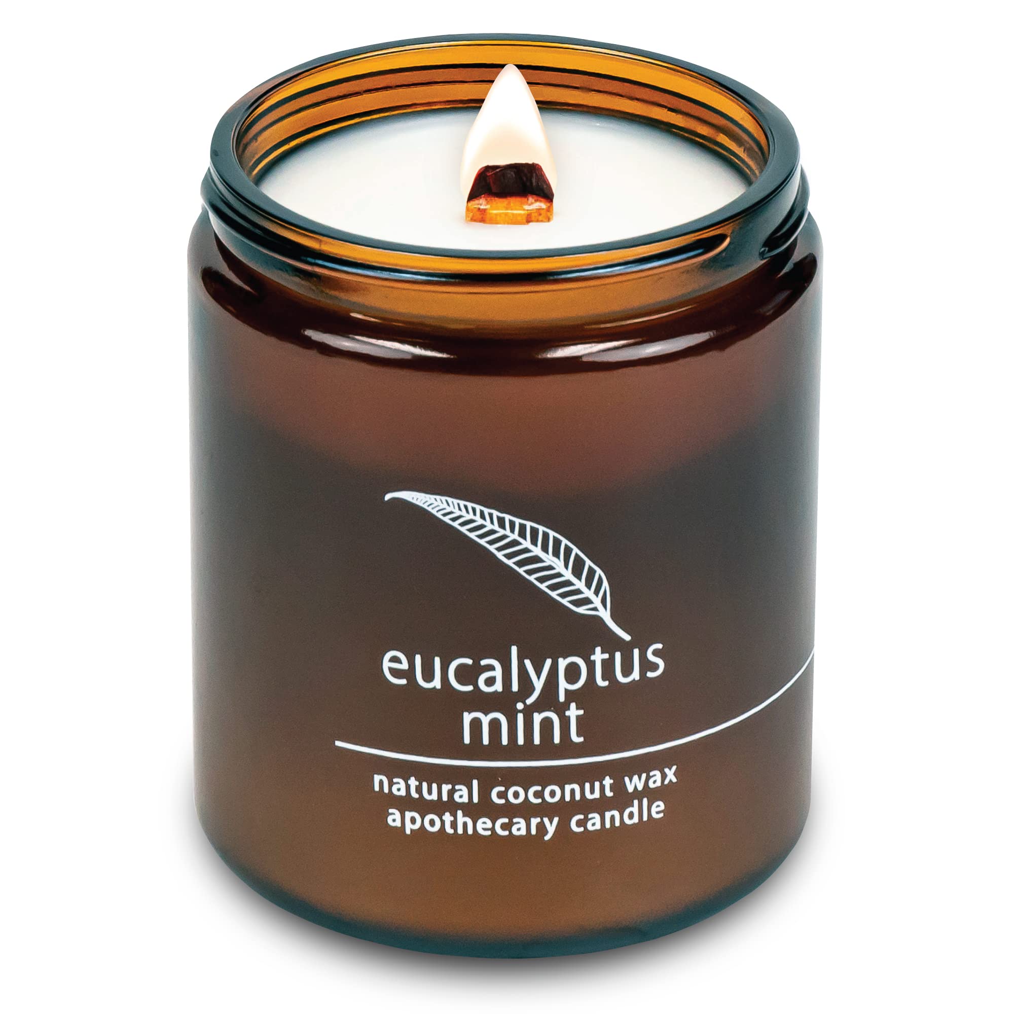 Hemlock Park Crackling Wood Wick Candle – 8 oz, Eucalyptus Mint