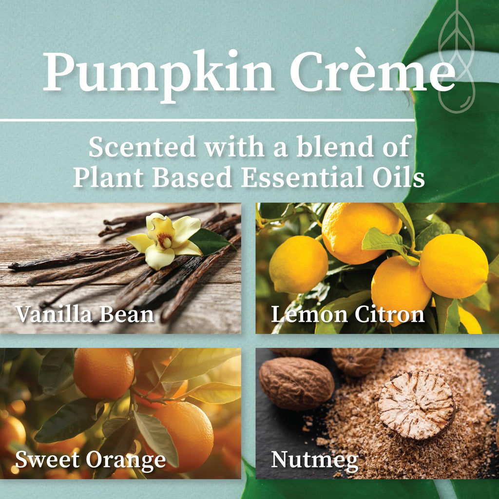 Hemlock Park Crackling Wood Wick Candle – Pumpkin Crème, 8 oz