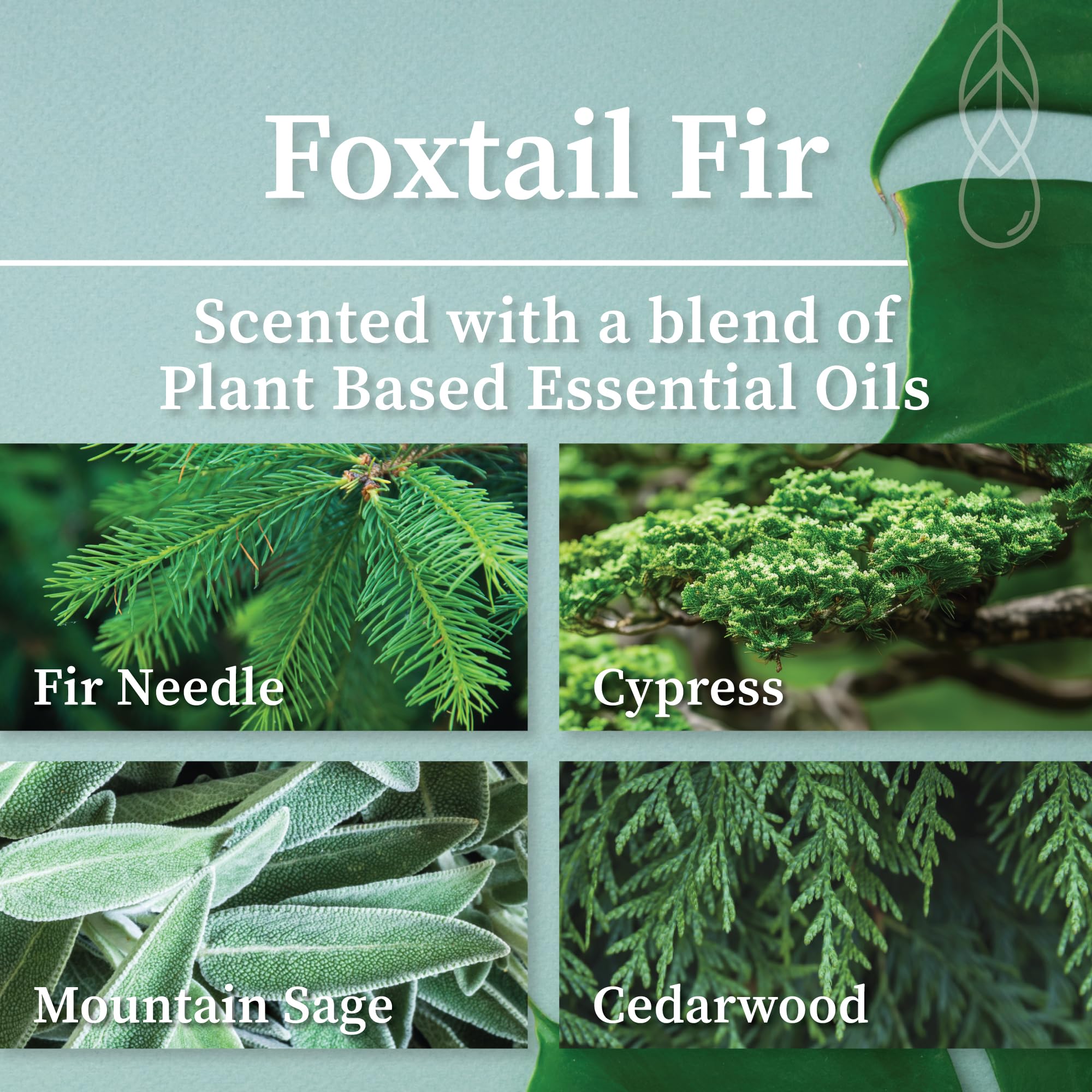 Hemlock Park Frosted Jar Wood Wick Candle – 7.2 oz Foxtail Fir | Coconut Wax