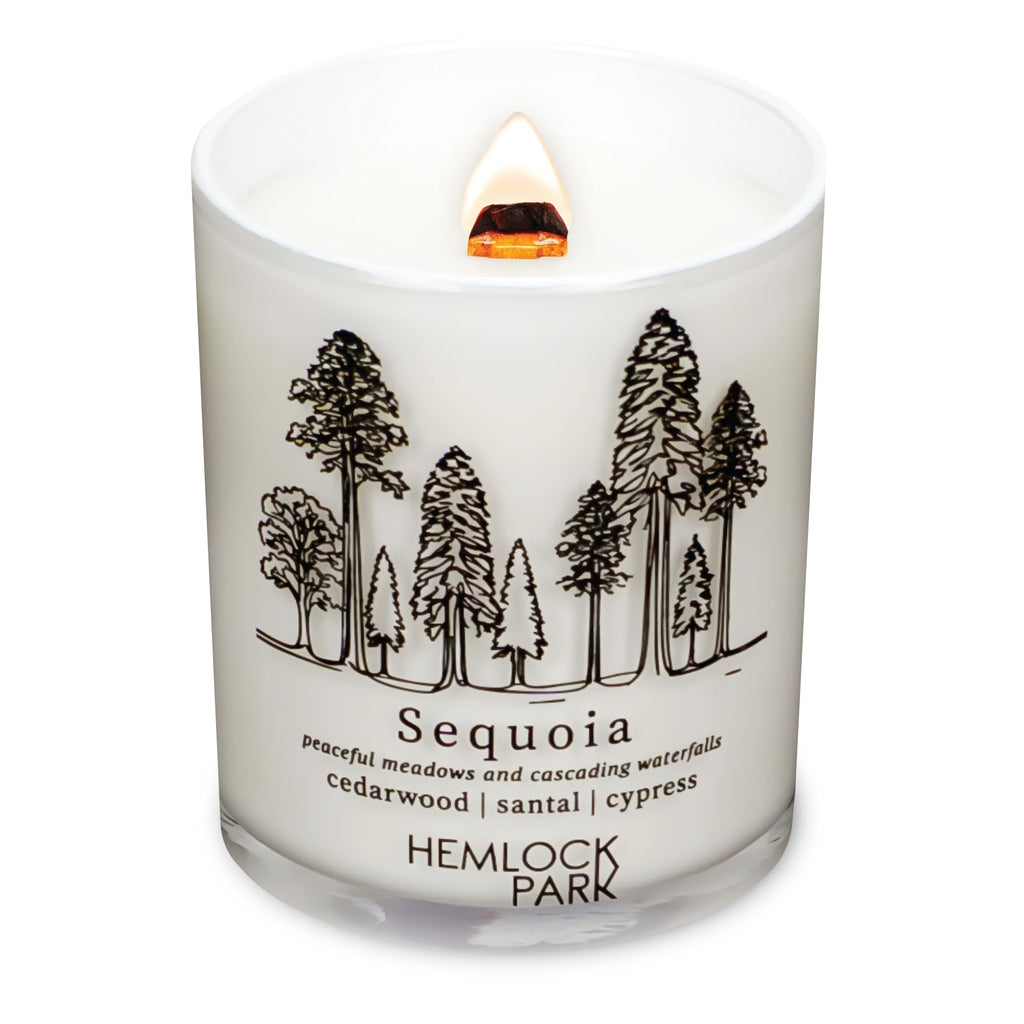 Hemlock Park Travel Inspired Passport Crackling Wood Wick Candle – 7.2 oz Coconut Wax