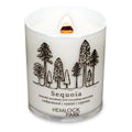Hemlock Park Travel Inspired Passport Crackling Wood Wick Candle – 7.2 oz Coconut Wax