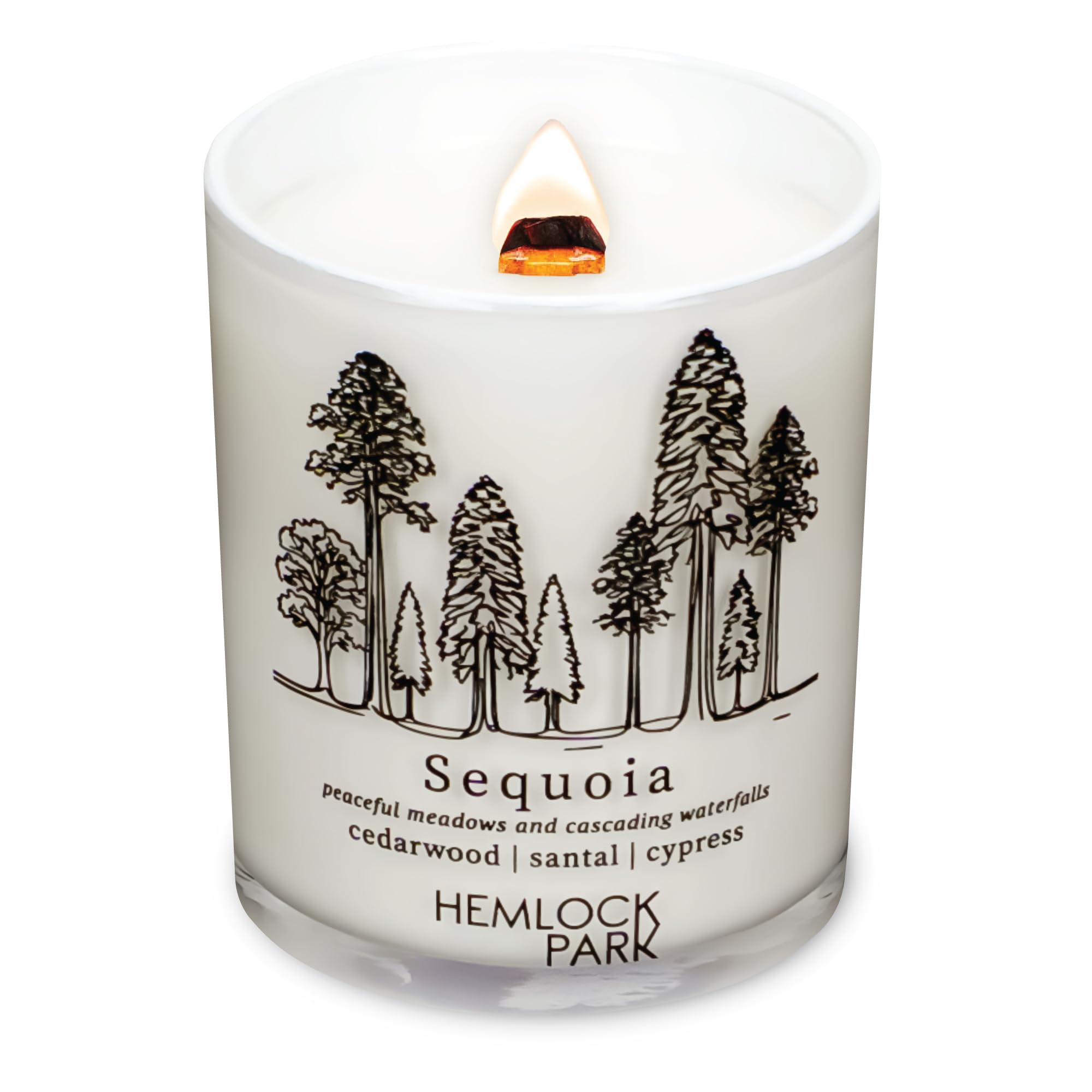 Hemlock Park Travel Inspired Passport Crackling Wood Wick Candle – 7.2 oz Coconut Wax