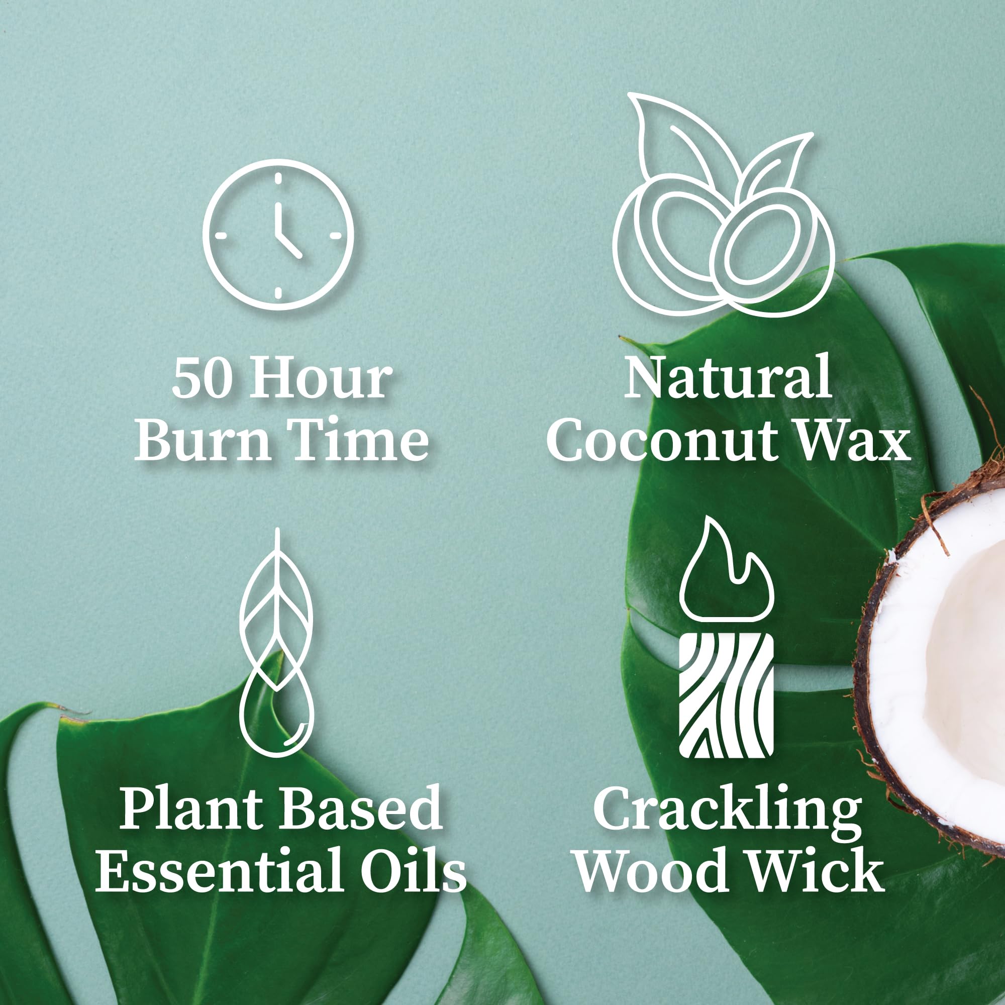 Hemlock Park Travel Inspired Passport Crackling Wood Wick Candle – 7.2 oz Coconut Wax