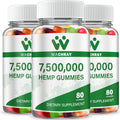 Hemp Gummies from Organic Hemp Plant - High Potency for Sleep & Pain Relief (3-Pack)