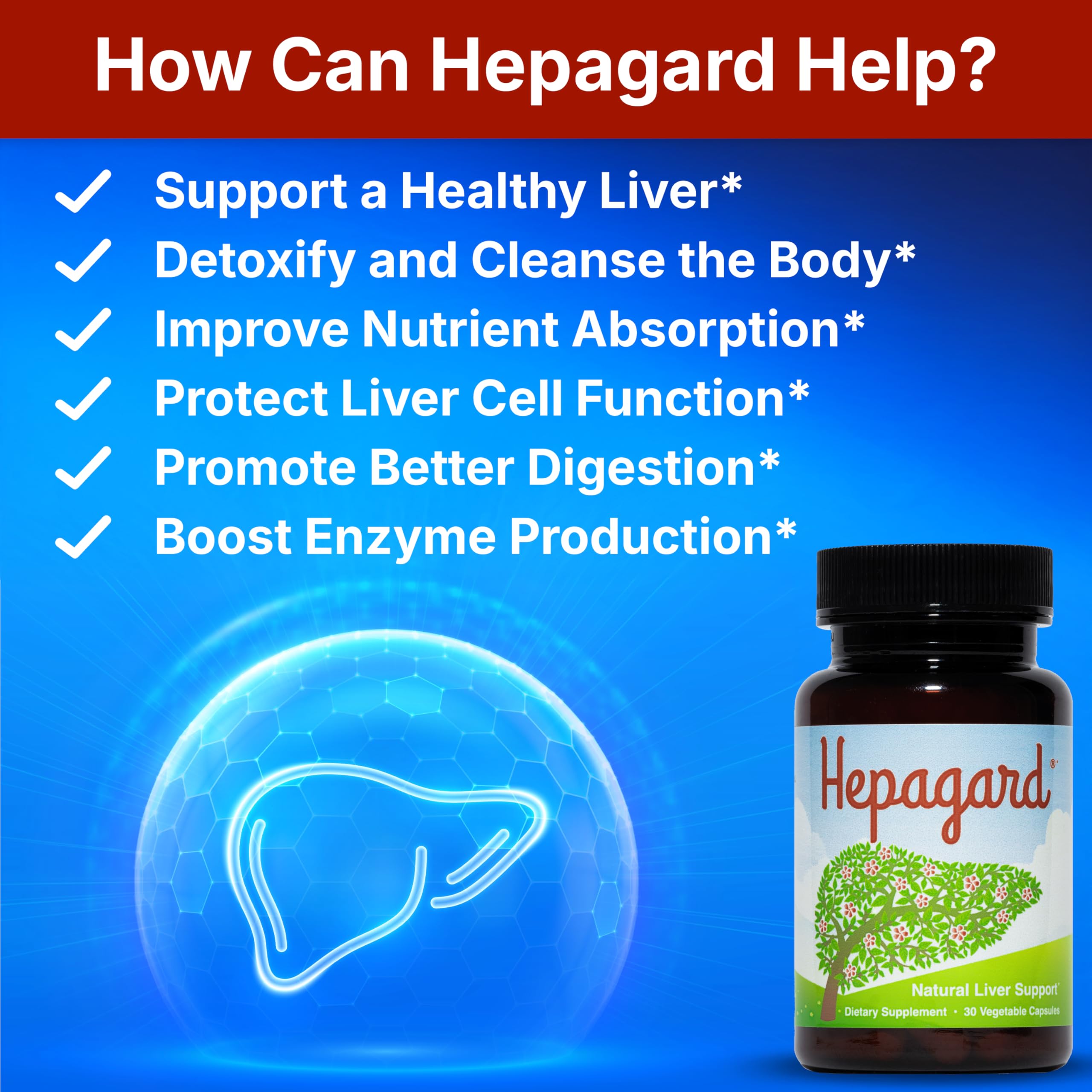 Hepagard - Natural Liver Support Supplement with N-Acetyl Cysteine (NAC) - Non-GMO, Vegan, Gluten-Free
