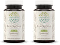 HerbEra Eucalyptus 60 Capsules (400 mg each) - Pack of 2