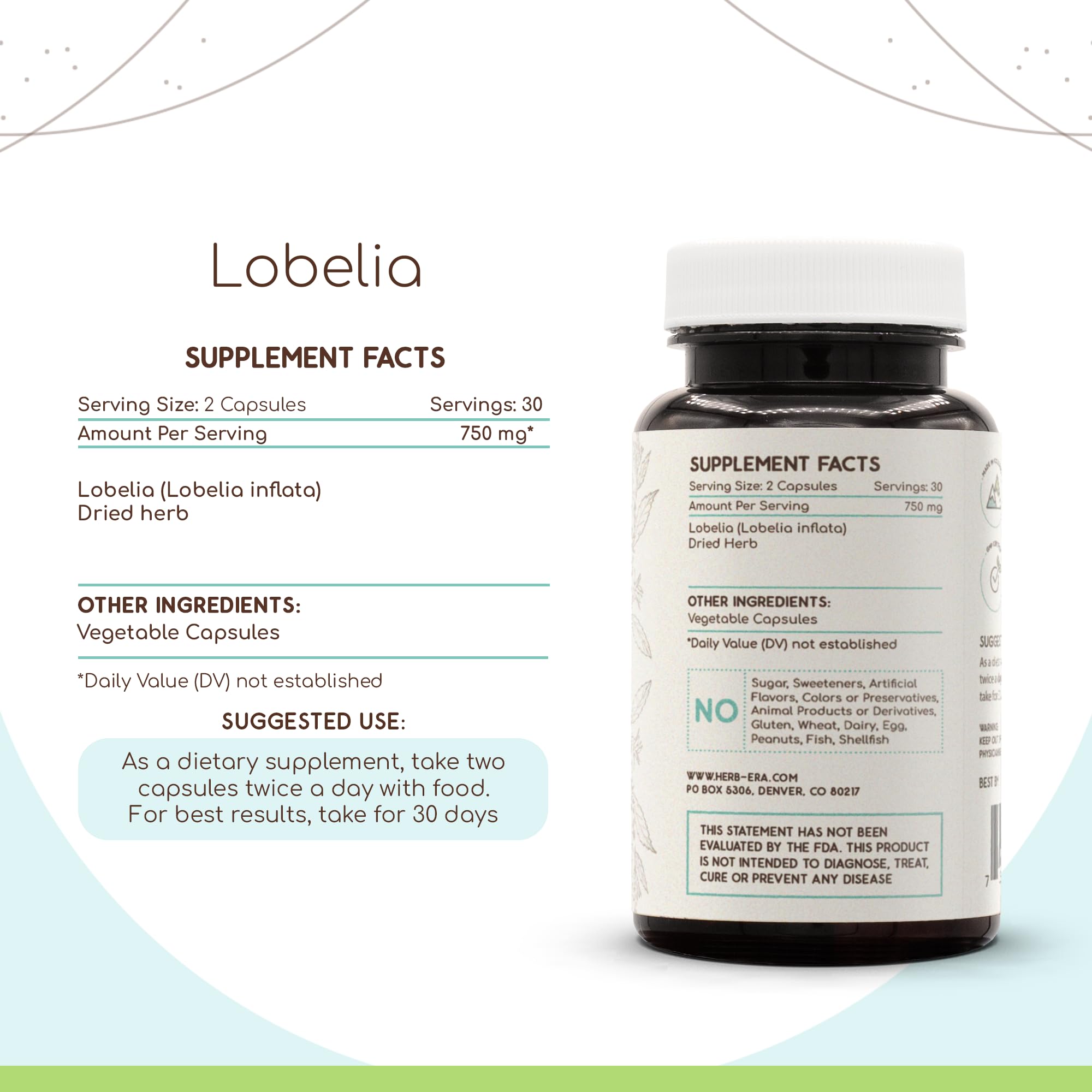 HerbEra Lobelia 60 Capsules - 750 mg Dried Lobelia Herb
