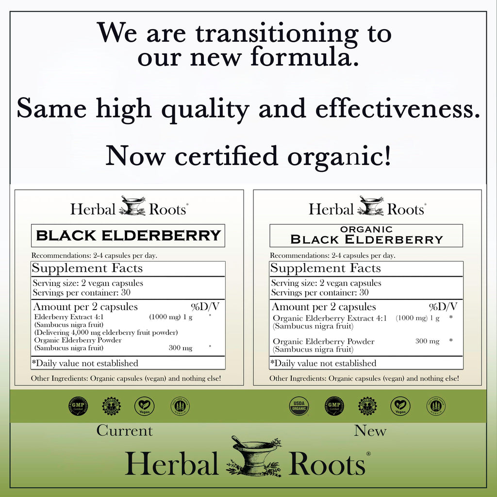 Herbal Roots Organic Black Elderberry Capsules - Max Strength | 60 Vegan Capsules