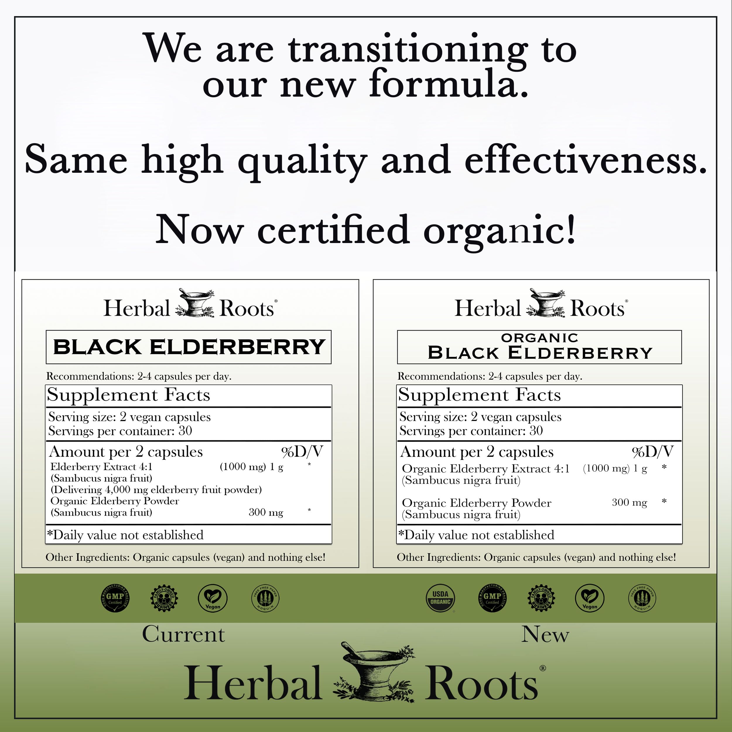 Herbal Roots Organic Black Elderberry Capsules - Max Strength | 60 Vegan Capsules